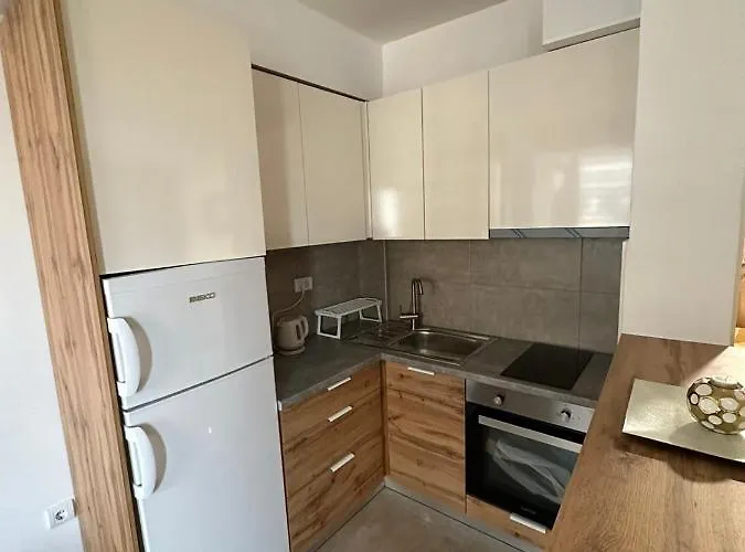 Golden Lux Apartment *